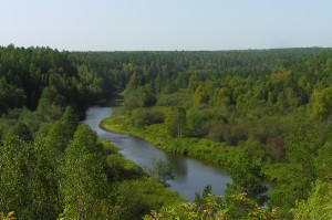 Stiati_ca_taiga_siberiana